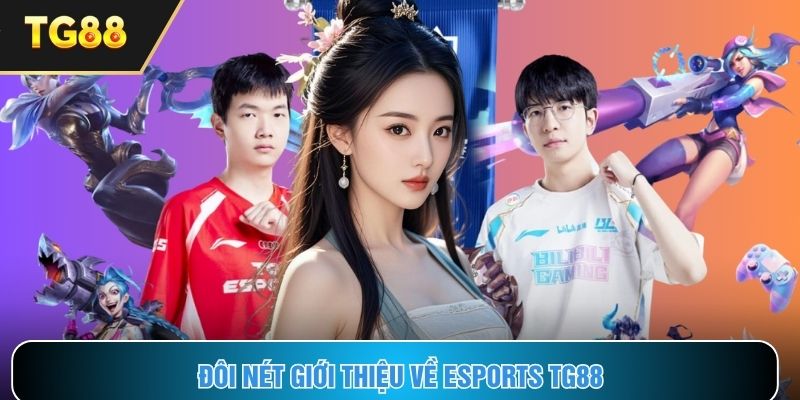 Những đặc điểm chính về sảnh thể thao điện tử