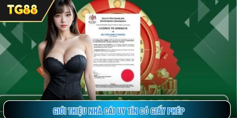 Giới thiệu về giấy phép của nền tảng